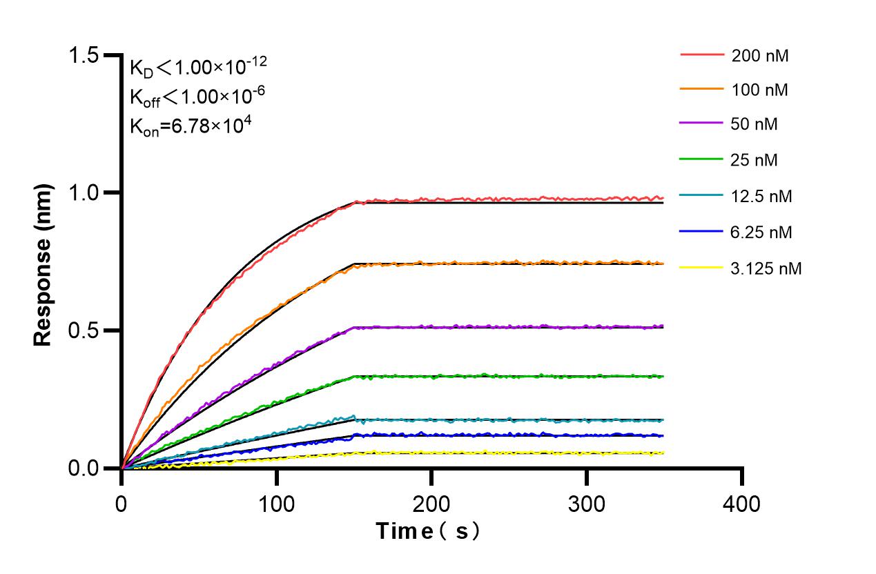 Affinity and Kinetic Characterization of 86500-1-RR