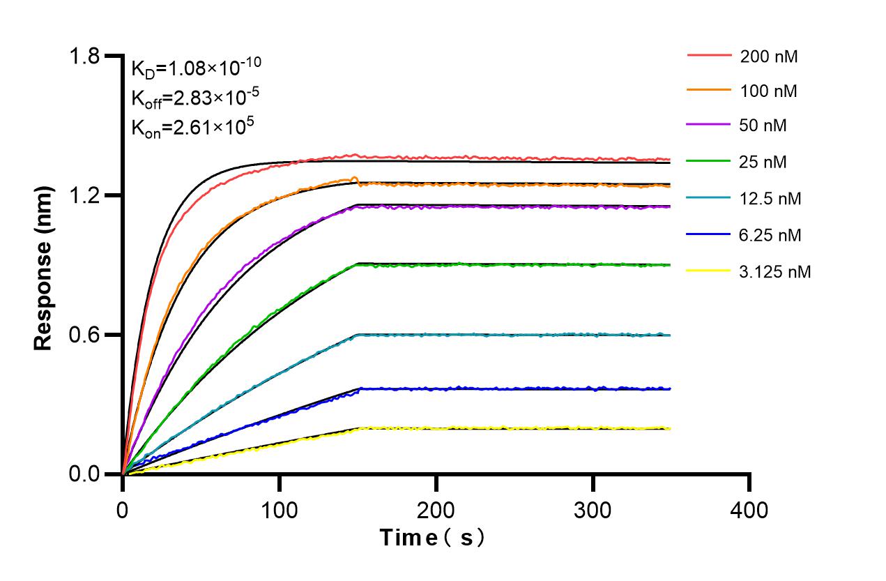 Affinity and Kinetic Characterization of 86500-2-RR