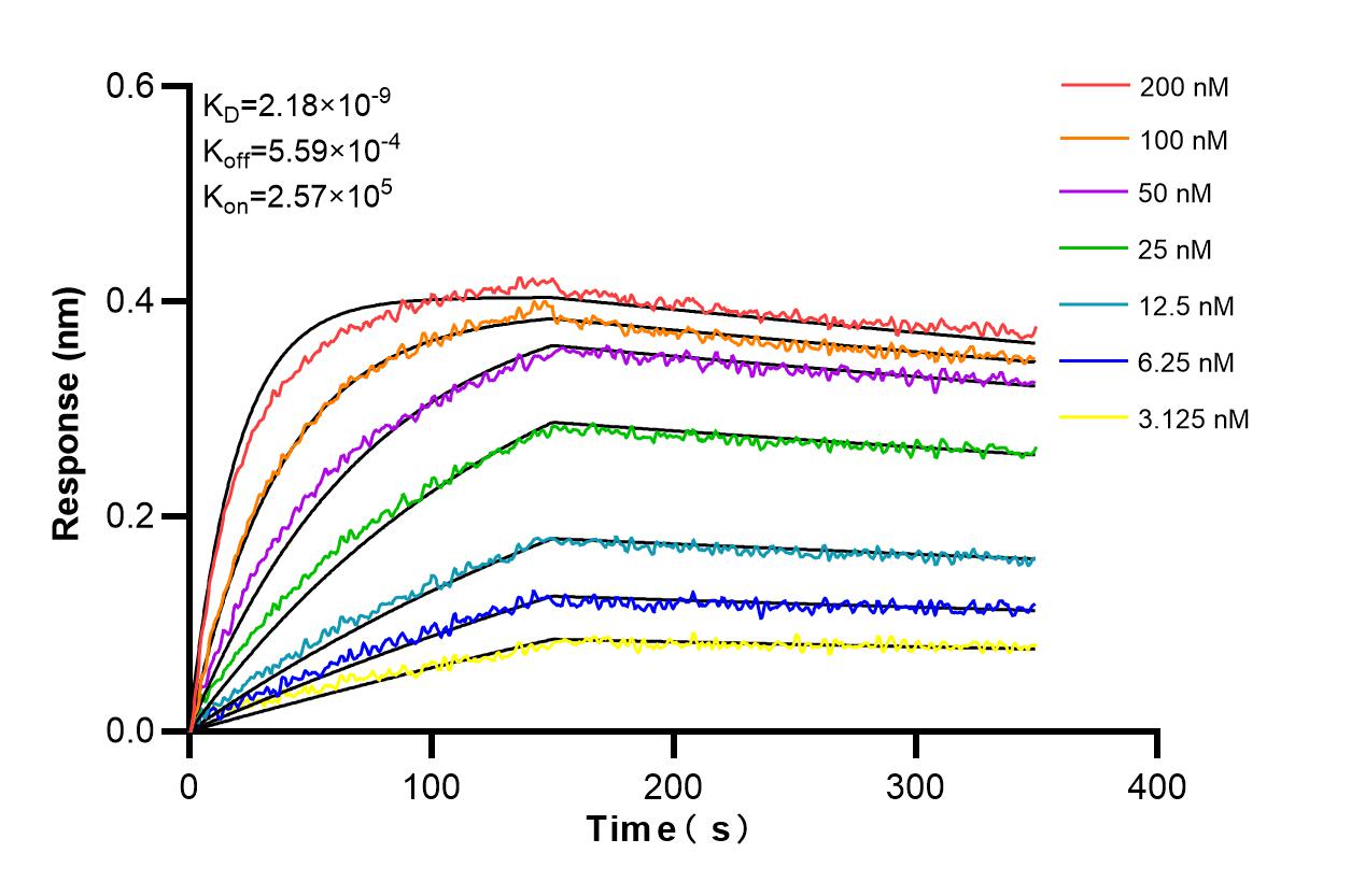Biolayer interferometry (BLl) kinetic assays of 86508-3-RR against Human GSPT2 were performed. The affinity constant is 2.18 nM. Affinity and Kinetic Characterization of 86508-3-RR