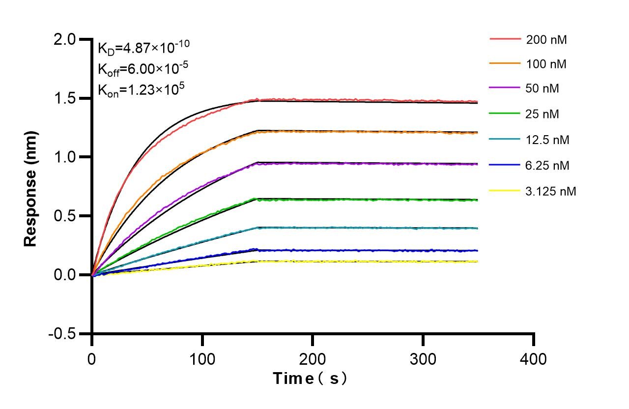 Affinity and Kinetic Characterization of 86513-3-RR