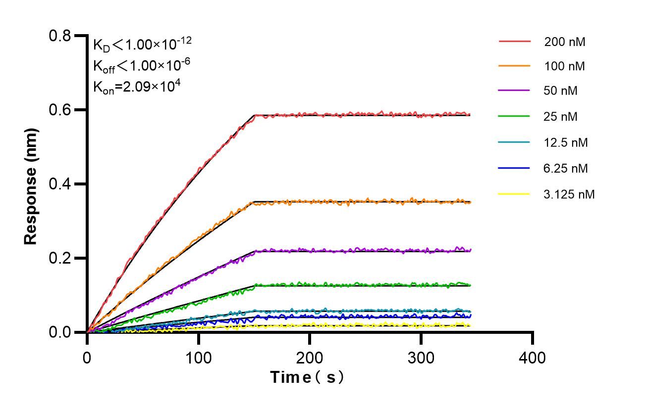 Affinity and Kinetic Characterization of 86519-4-RR