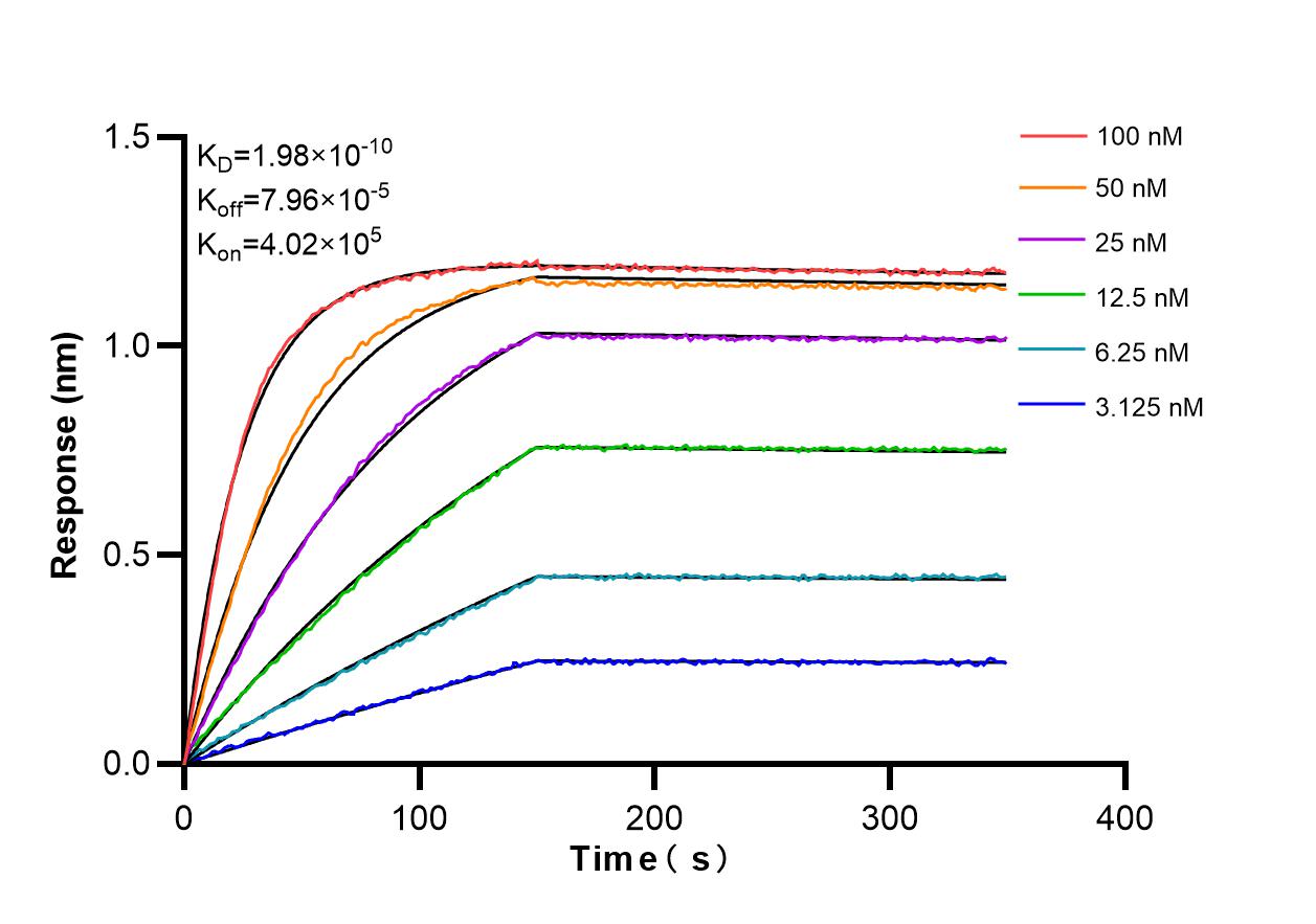 Biolayer interferometry (BLl) kinetic assays of 86536-1-RR against Human SKIV2L2 were performed. The affinity constant is 0.198 nM. Affinity and Kinetic Characterization of 86536-1-RR