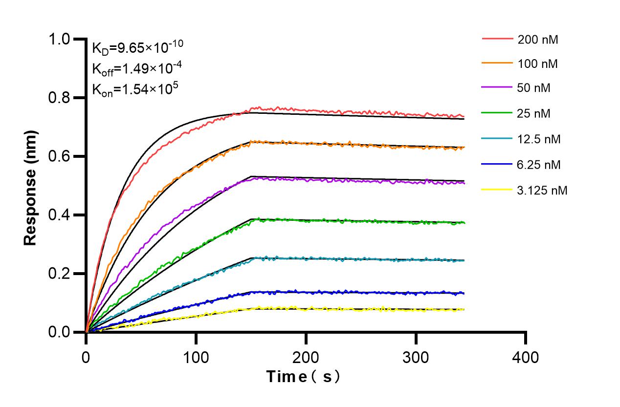 Affinity and Kinetic Characterization of 86541-2-RR