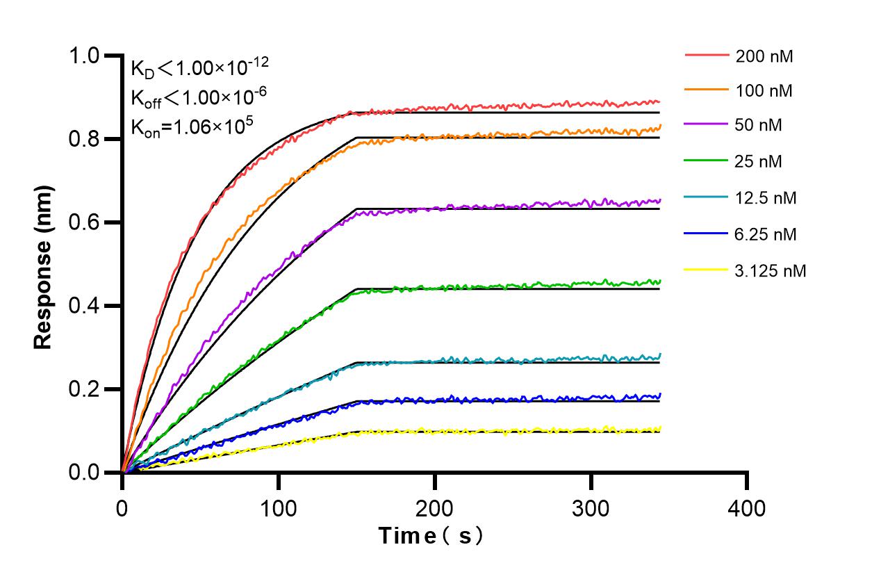 Affinity and Kinetic Characterization of 86544-3-RR