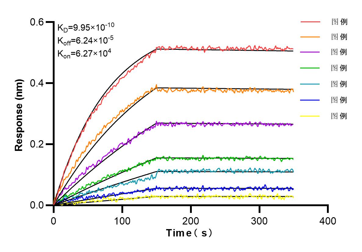 Biolayer interferometry (BLl) kinetic assays of 86549-1-RR against Human Citrate synthase were performed. The affinity constant is 0.995 nM. Affinity and Kinetic Characterization of 86549-1-RR