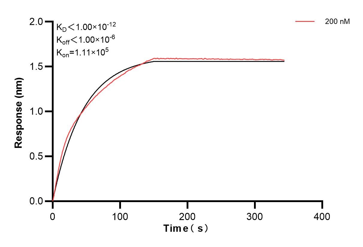 Affinity of 86550-1-PBS