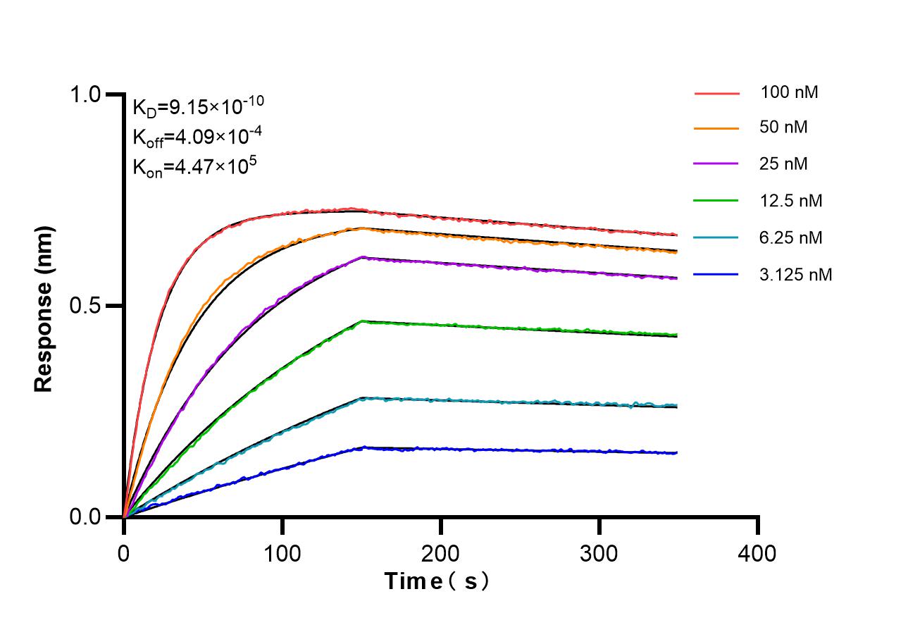 Affinity of 86572-2-RR