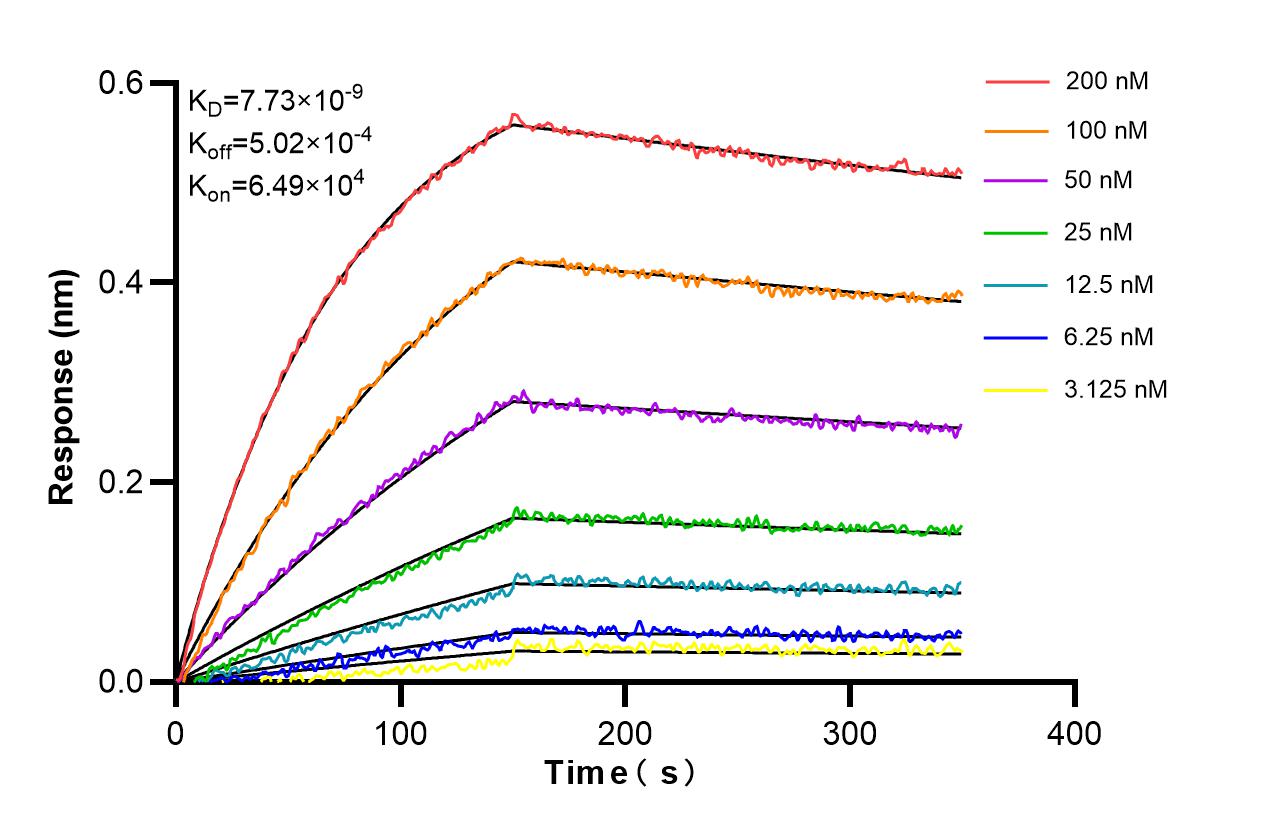 Biolayer interferometry (BLl) kinetic assays of 86581-1-RR against Human RAI14 were performed. The affinity constant is 7.73 nM. Affinity and Kinetic Characterization of 86581-1-RR