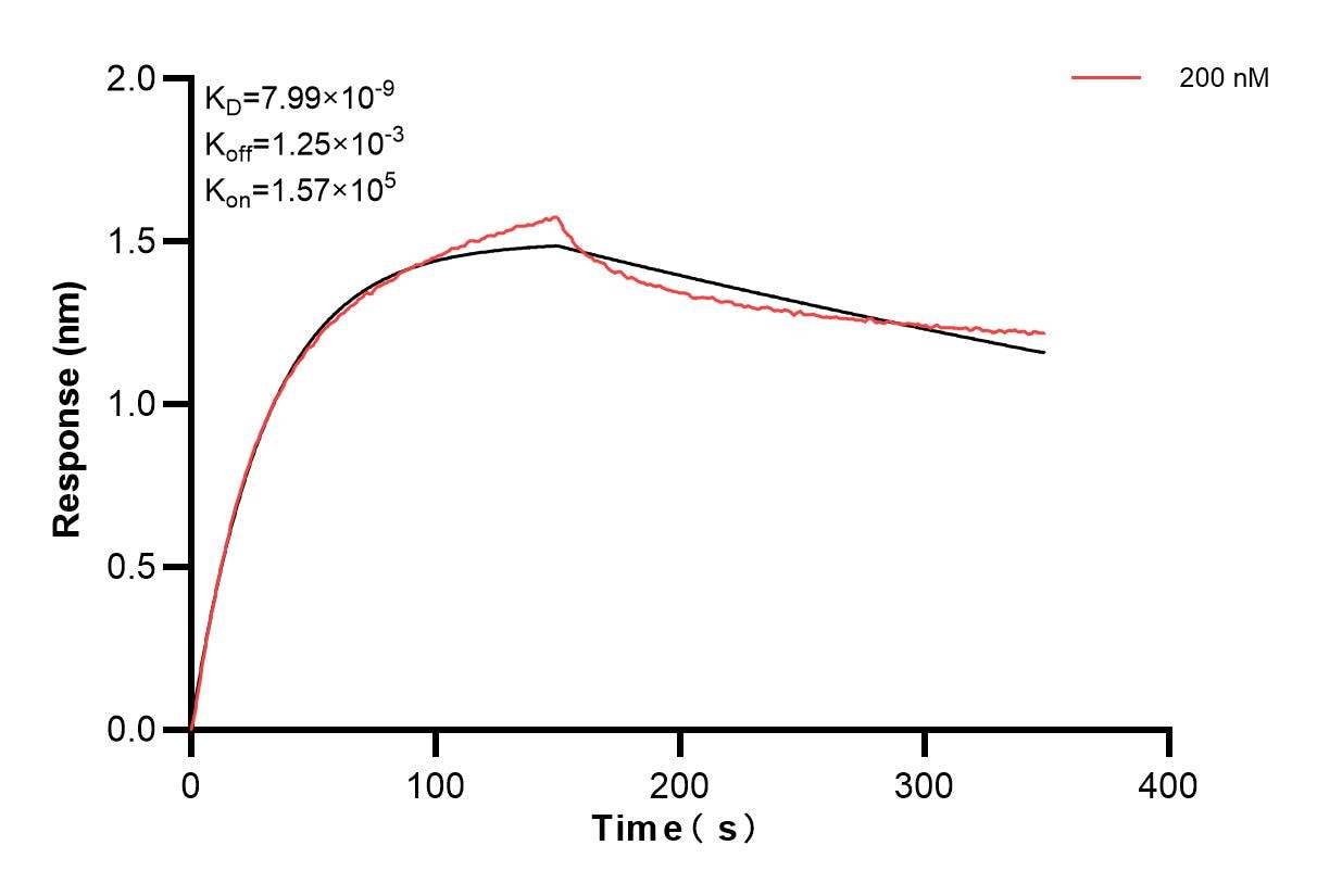 Affinity and Kinetic Characterization of 86588-1-PBS