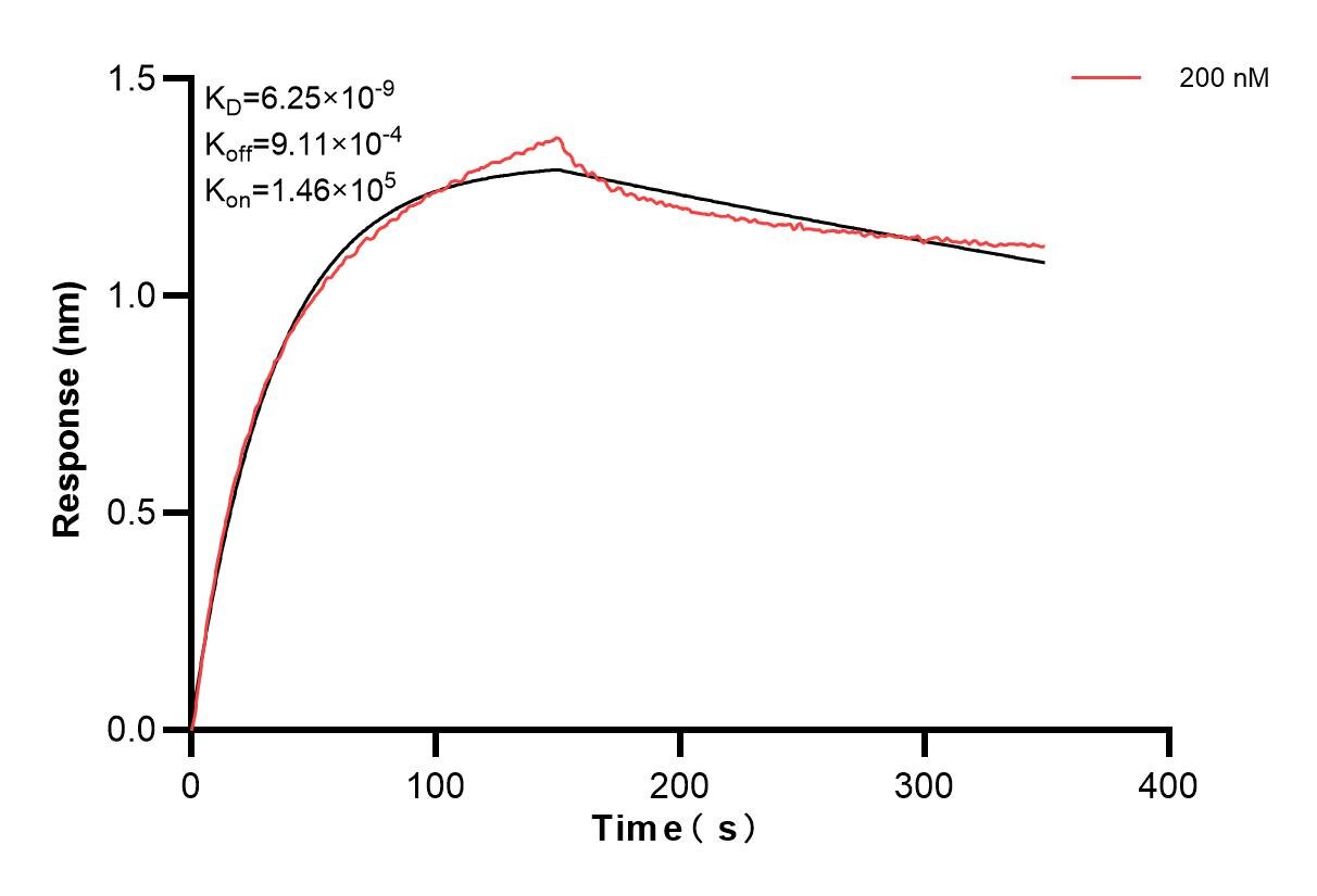 Affinity and Kinetic Characterization of 86588-2-PBS