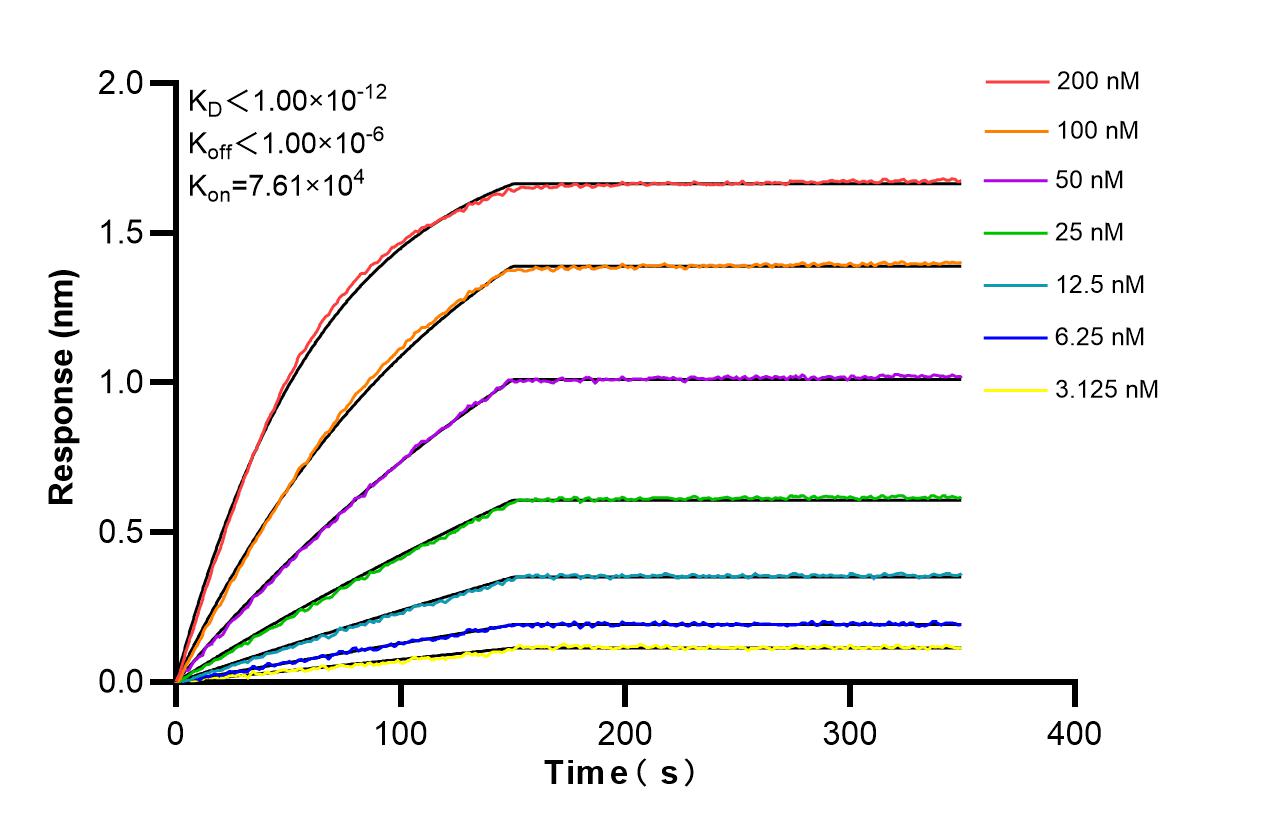 Biolayer interferometry (BLl) kinetic assays of 86594-1-RR against Human PEX3 were performed. The affinity constant is below 1 pM. Affinity and Kinetic Characterization of 86594-1-RR