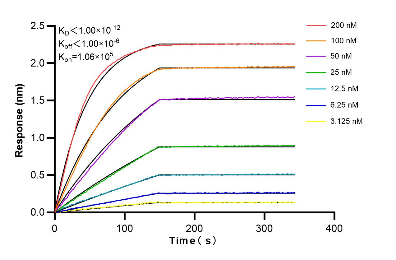 Affinity and Kinetic Characterization of 86609-3-RR Affinity and Kinetic Characterization of 86609-3-RR