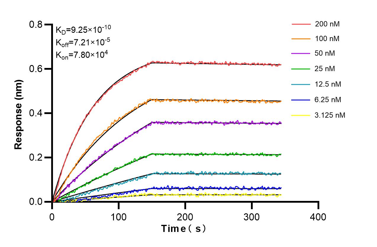 Biolayer interferometry (BLl) kinetic assays of 86610-2-RR against Human CUEDC2 were performed. The affinity constant is 0.925 nM. Affinity and Kinetic Characterization of 86610-2-RR