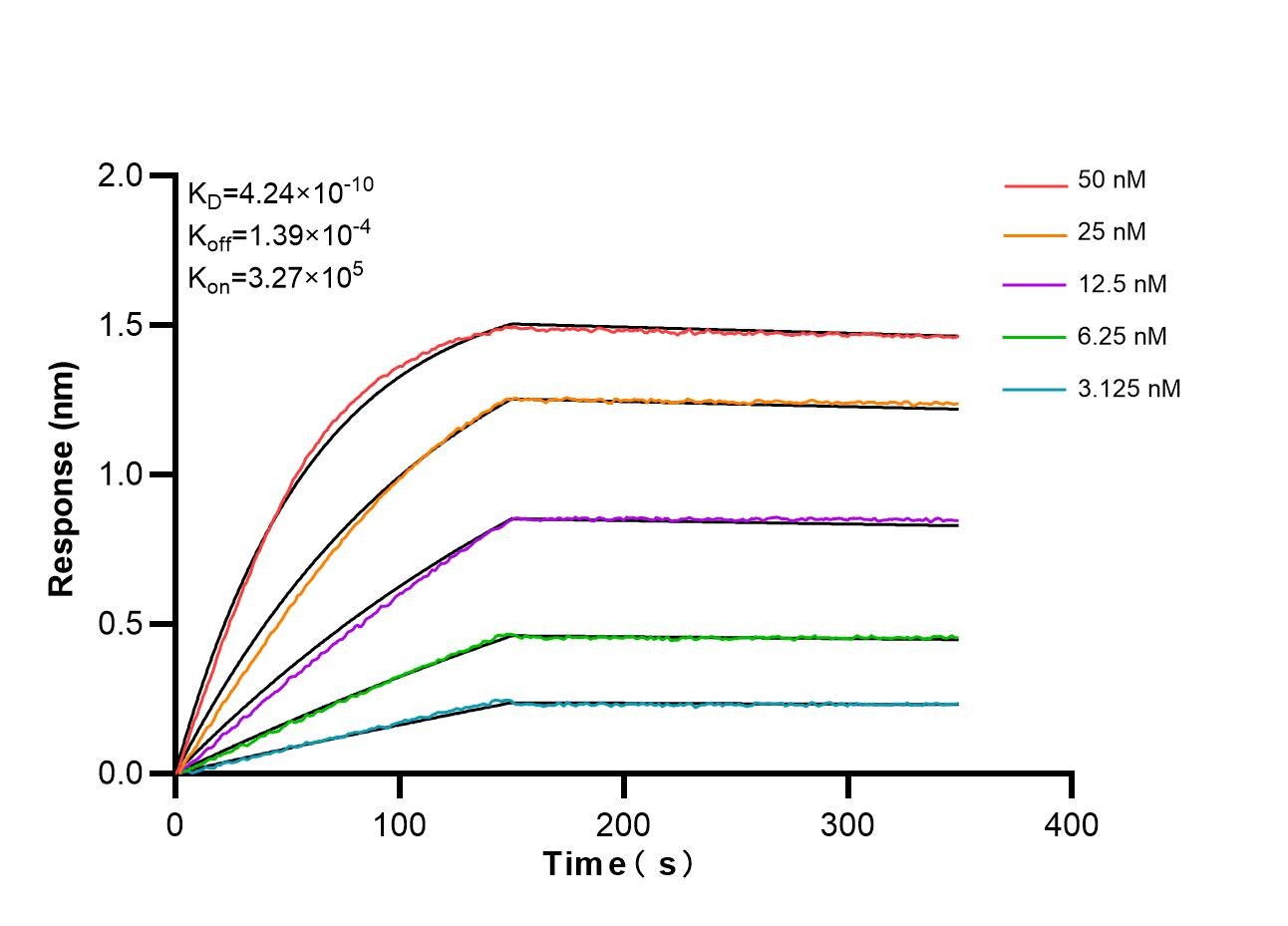 Affinity and Kinetic Characterization of 86623-3-RR