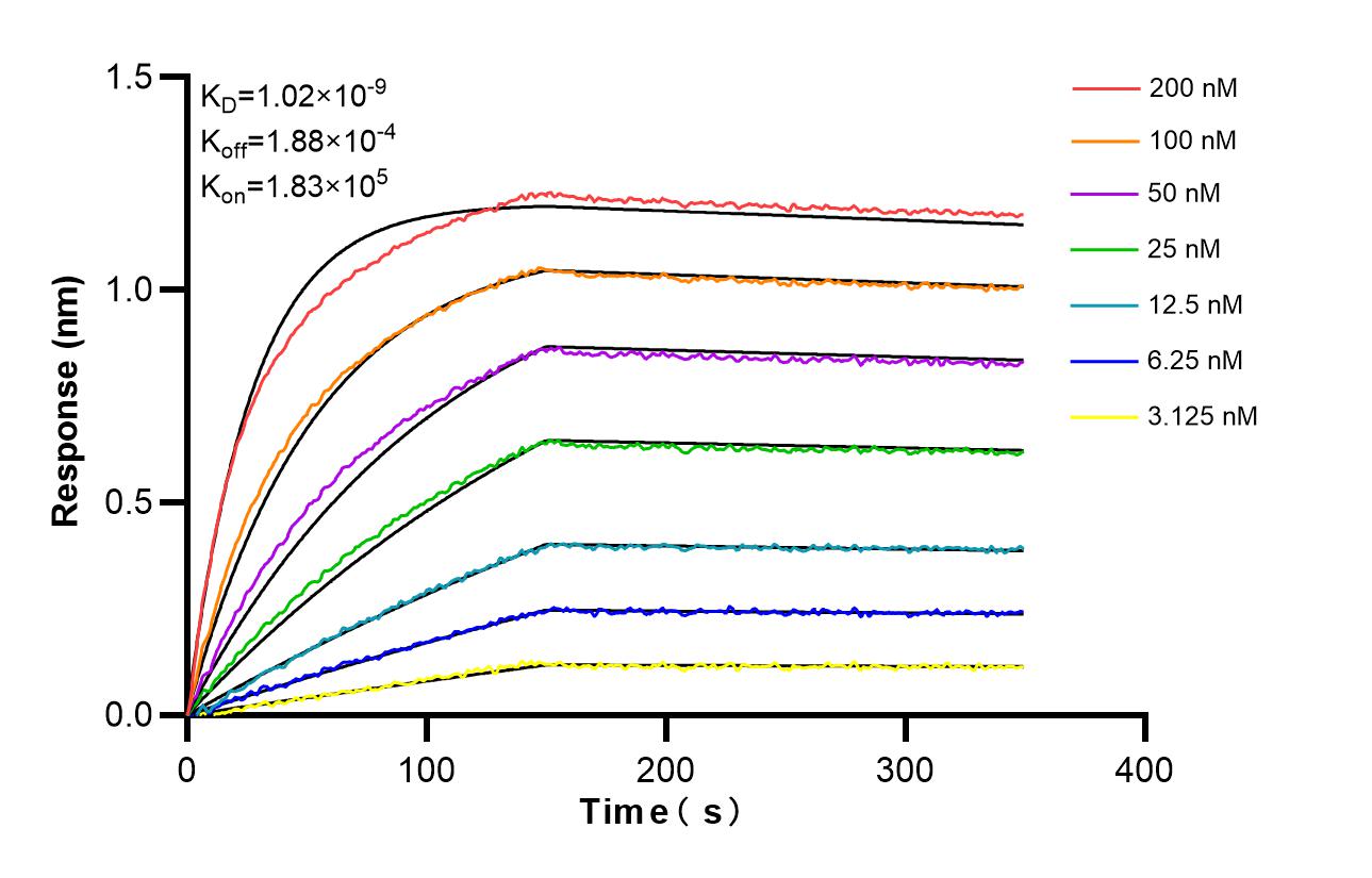 Affinity and Kinetic Characterization of 86630-3-RR
