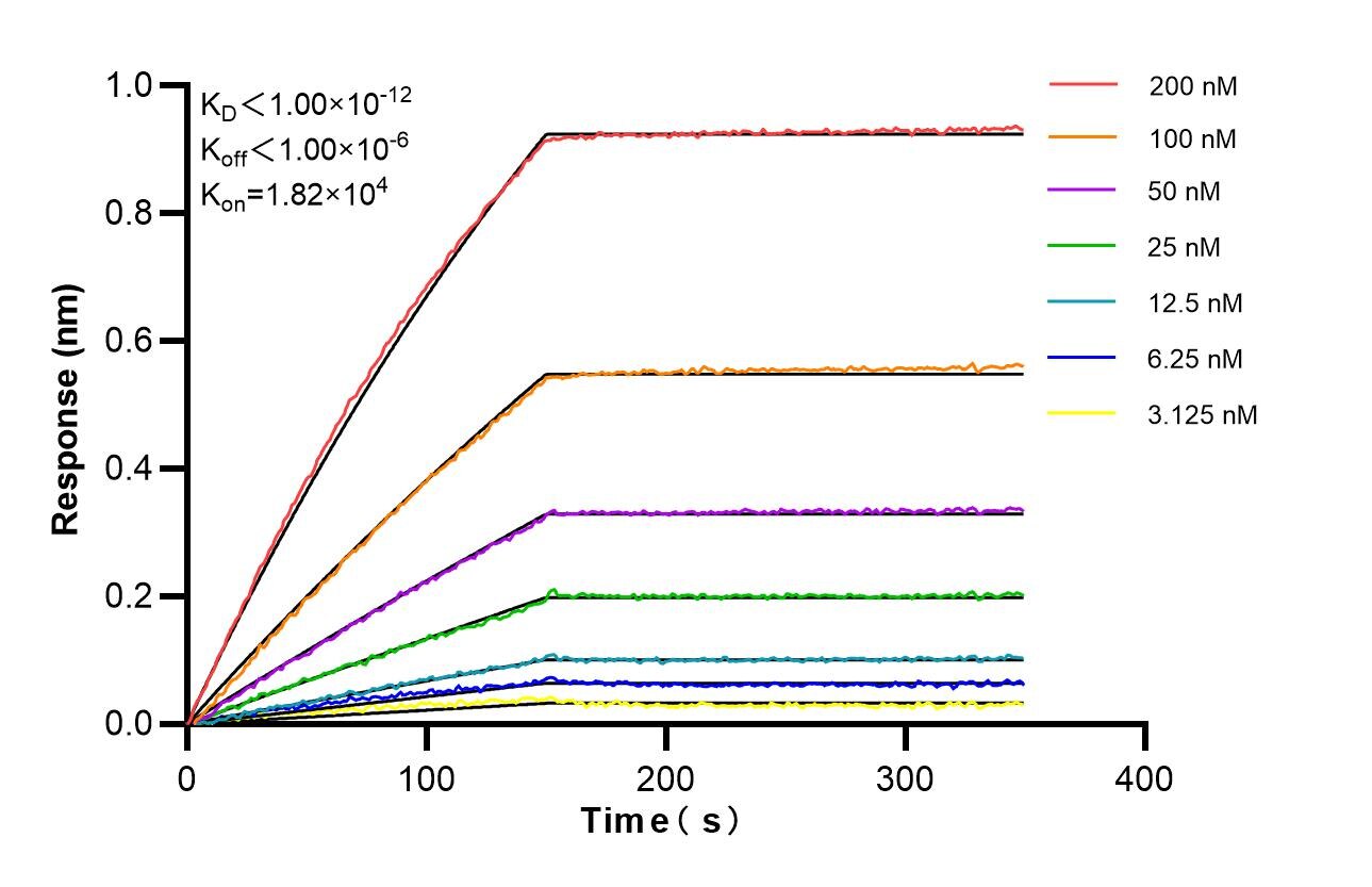 Affinity and Kinetic Characterization of 86650-2-RR