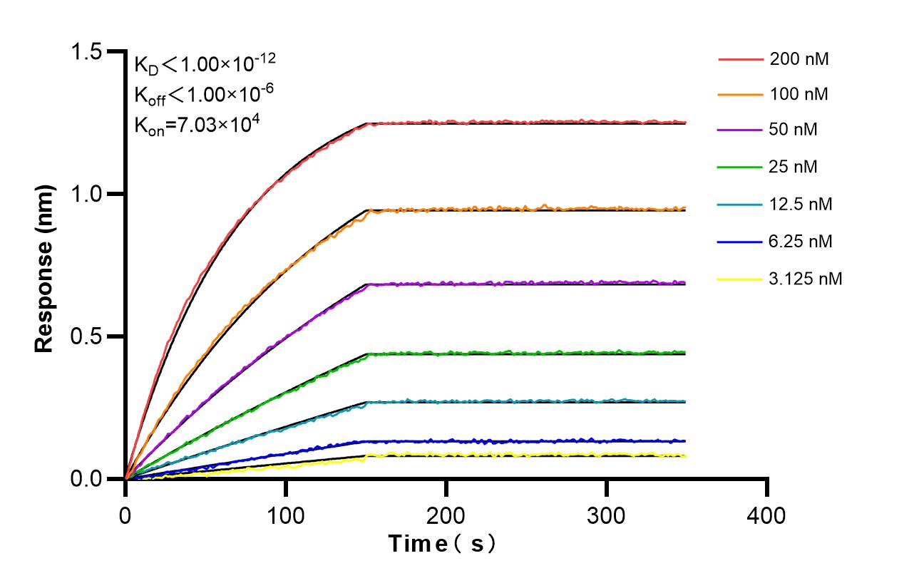 Affinity and Kinetic Characterization of 86651-1-RR Affinity and Kinetic Characterization of 86651-1-RR
