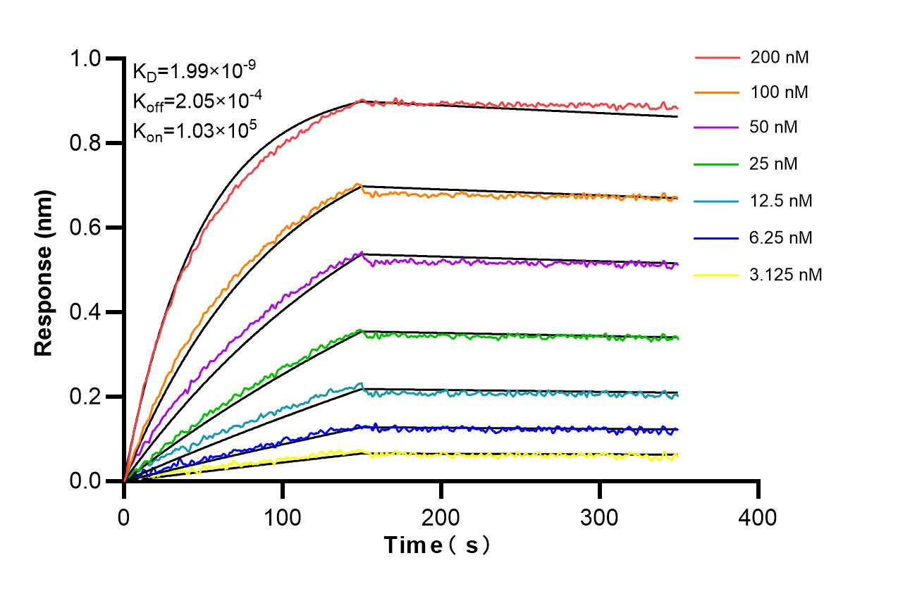 Affinity and Kinetic Characterization of 86661-3-RR