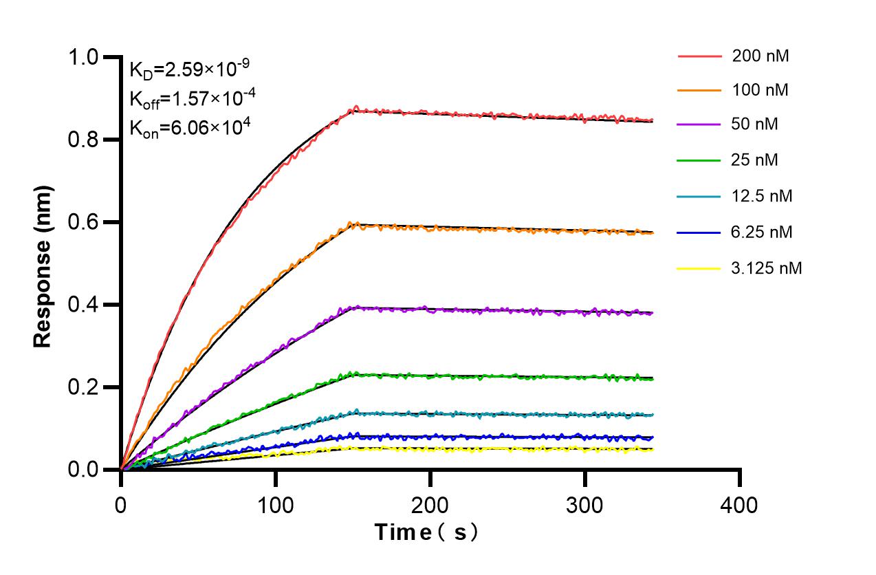 Affinity and Kinetic Characterization of 86663-3-RR Affinity and Kinetic Characterization of 86663-3-RR