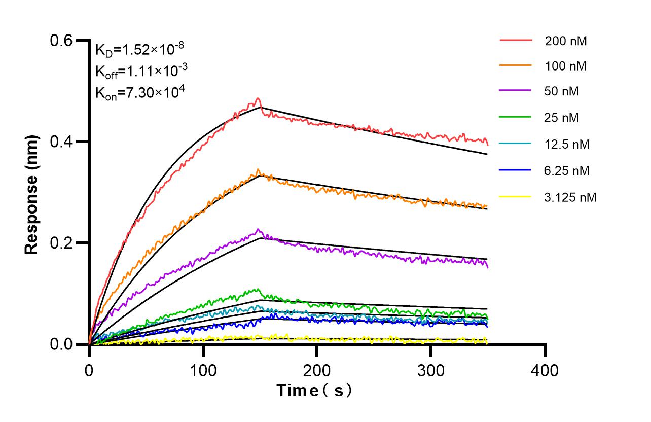 Affinity and Kinetic Characterization of 86663-4-RR Affinity and Kinetic Characterization of 86663-4-RR