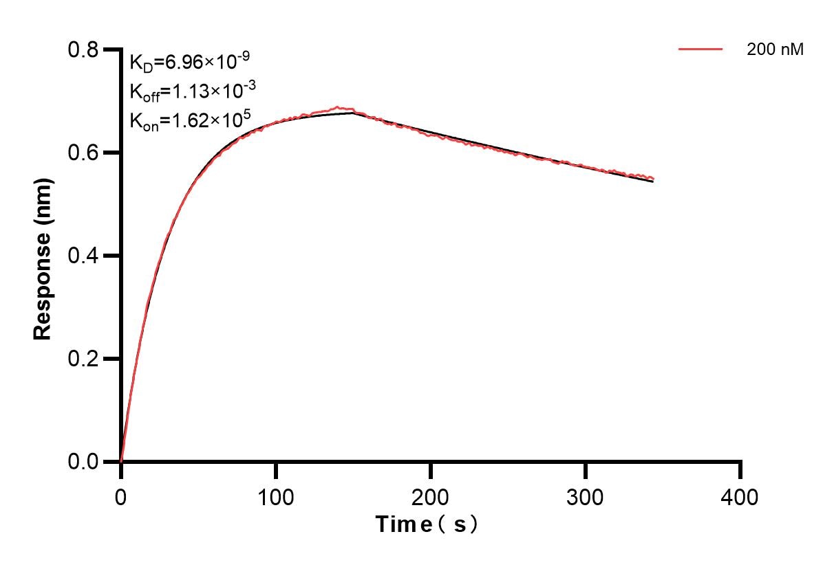 Affinity and Kinetic Characterization of 86678-2-PBS Affinity and Kinetic Characterization of 86678-2-PBS