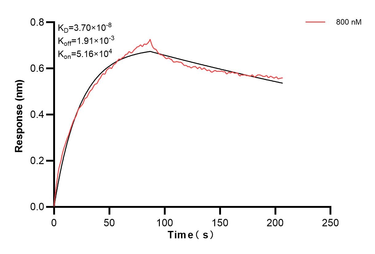 Affinity and Kinetic Characterization of 86702-2-PBS Affinity and Kinetic Characterization of 86702-2-PBS
