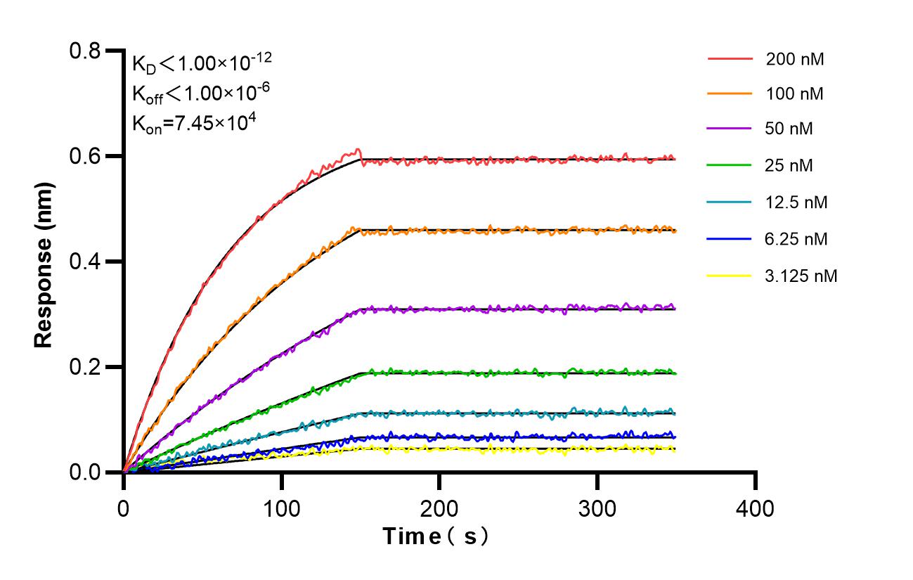 Biolayer interferometry (BLl) kinetic assays of 86704-1-RR against Human HURP were performed. The affinity constant is 3.84 nM. Affinity and Kinetic Characterization of 86704-1-RR