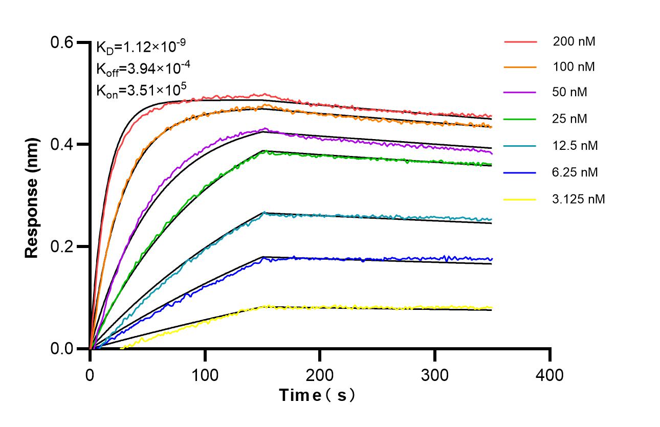 Affinity of 86714-3-RR Affinity of 86714-3-RR