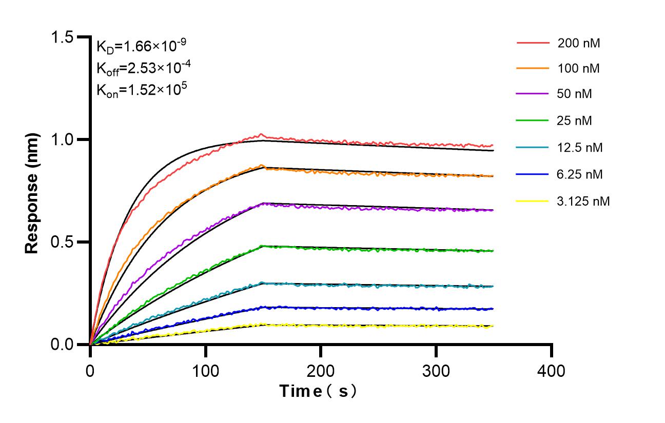 Affinity and Kinetic Characterization of 86721-1-RR Affinity and Kinetic Characterization of 86721-1-RR