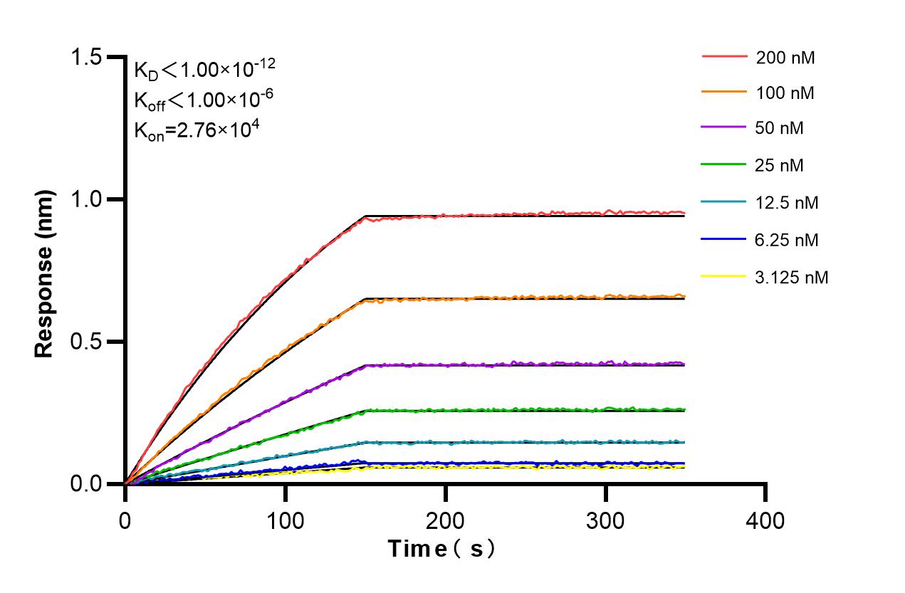 Affinity and Kinetic Characterization of 86737-3-RR