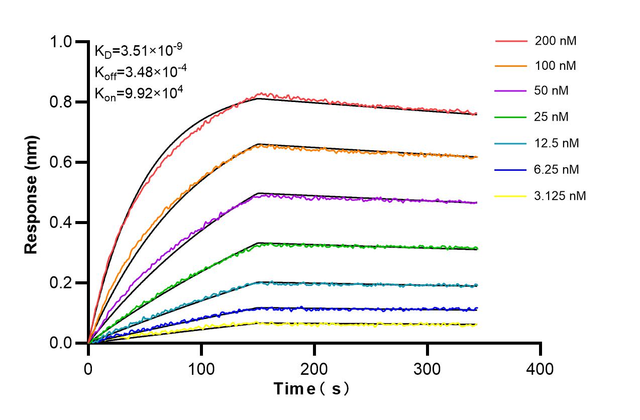 Biolayer interferometry (BLl) kinetic assays of 86745-1-RR against Human PDE4D were performed. The affinity constant is 3.51 nM. Affinity and Kinetic Characterization of 86745-1-RR