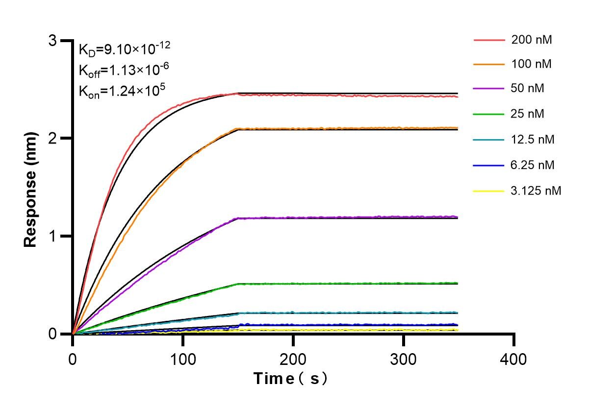 Affinity and Kinetic Characterization of 86747-1-RR Affinity and Kinetic Characterization of 86747-1-RR