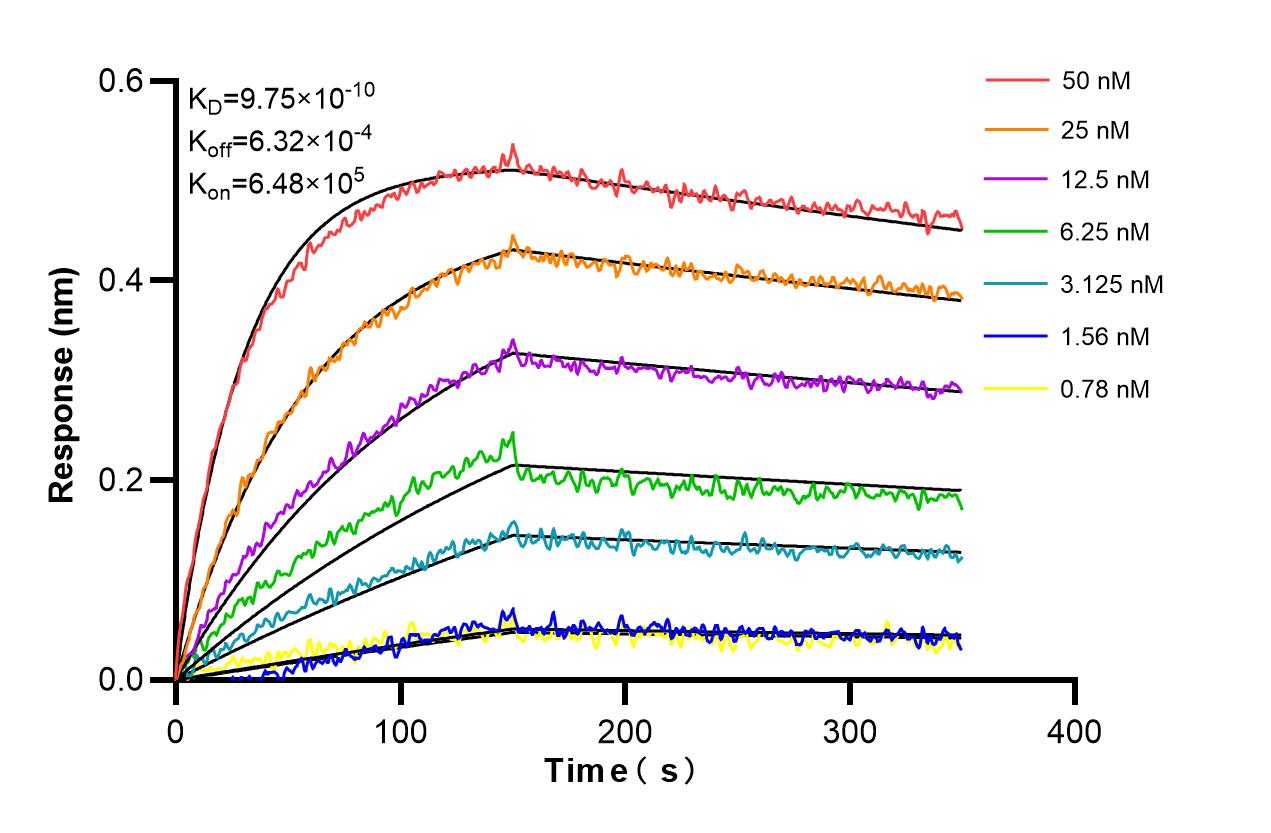 Affinity and Kinetic Characterization of 86750-2-RR