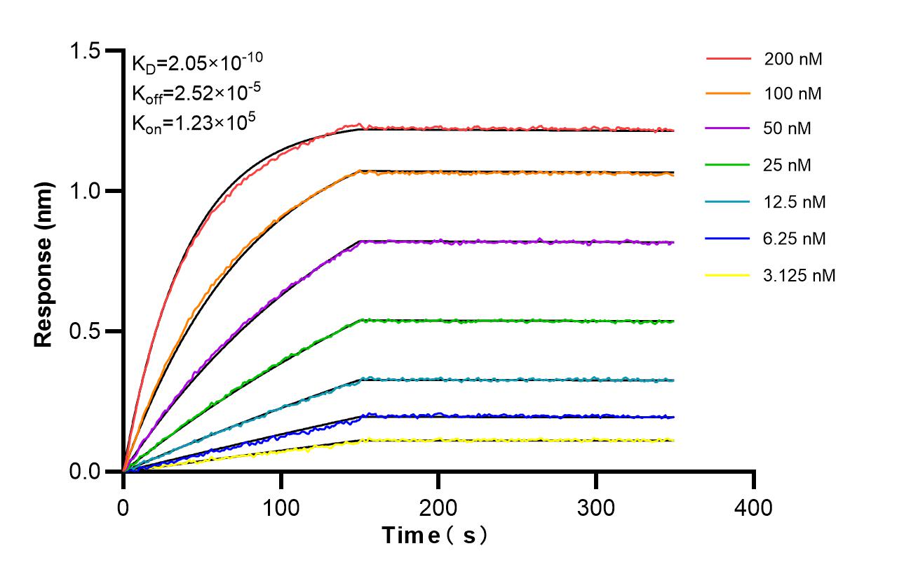 Affinity and Kinetic Characterization of 86771-3-RR