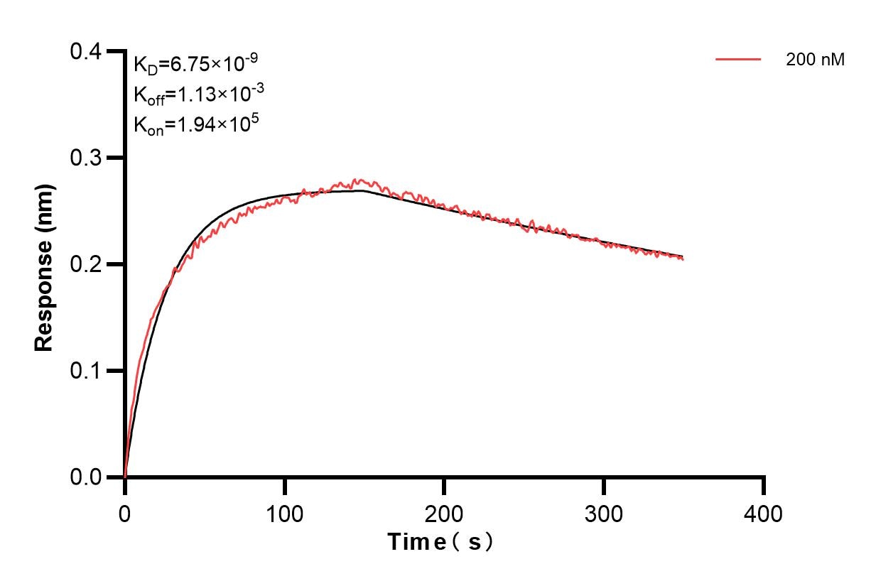 Affinity of 86781-1-PBS