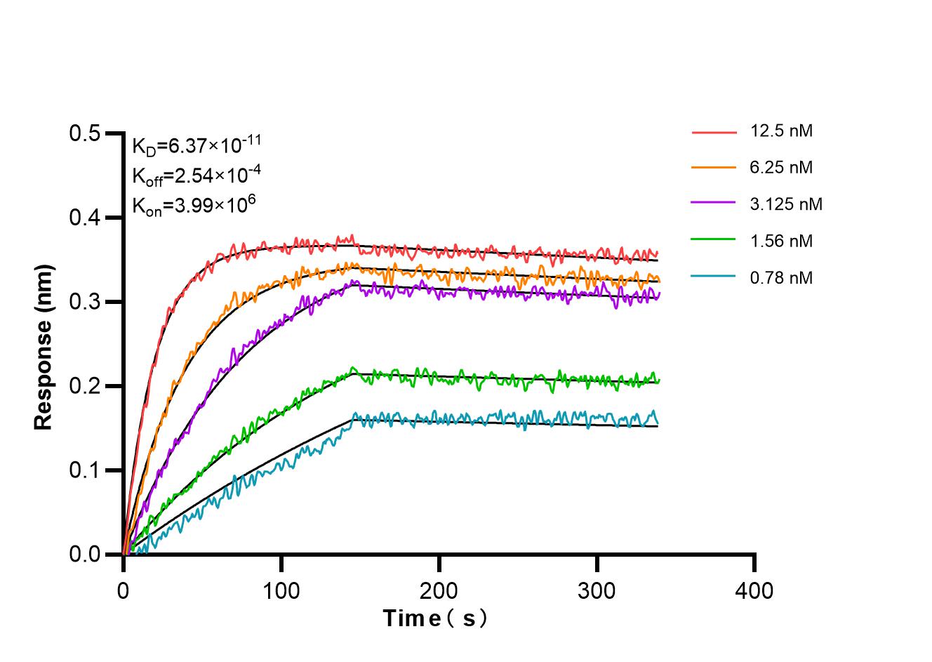 Affinity and Kinetic Characterization of 86781-3-RR