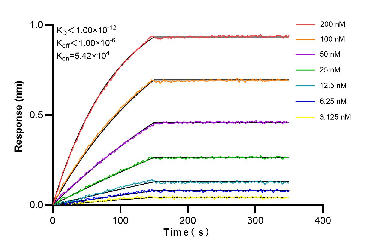 Affinity and Kinetic Characterization of 86790-1-RR