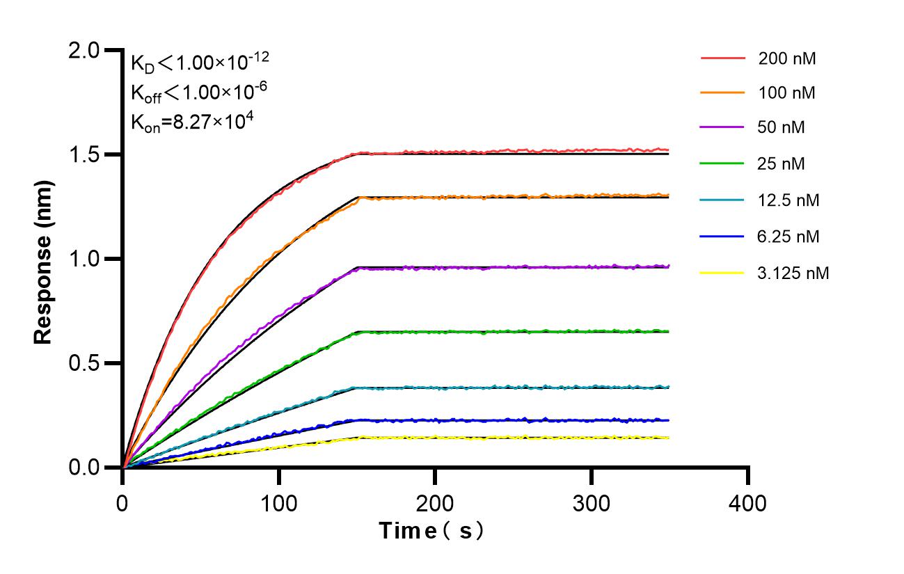Biolayer interferometry (BLl) kinetic assays of 86795-1-RR against Human AP3S2 were performed. The affinity constant is below 1 pM. Affinity and Kinetic Characterization of 86795-1-RR