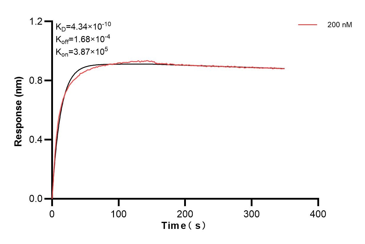 Affinity of 86810-1-PBS