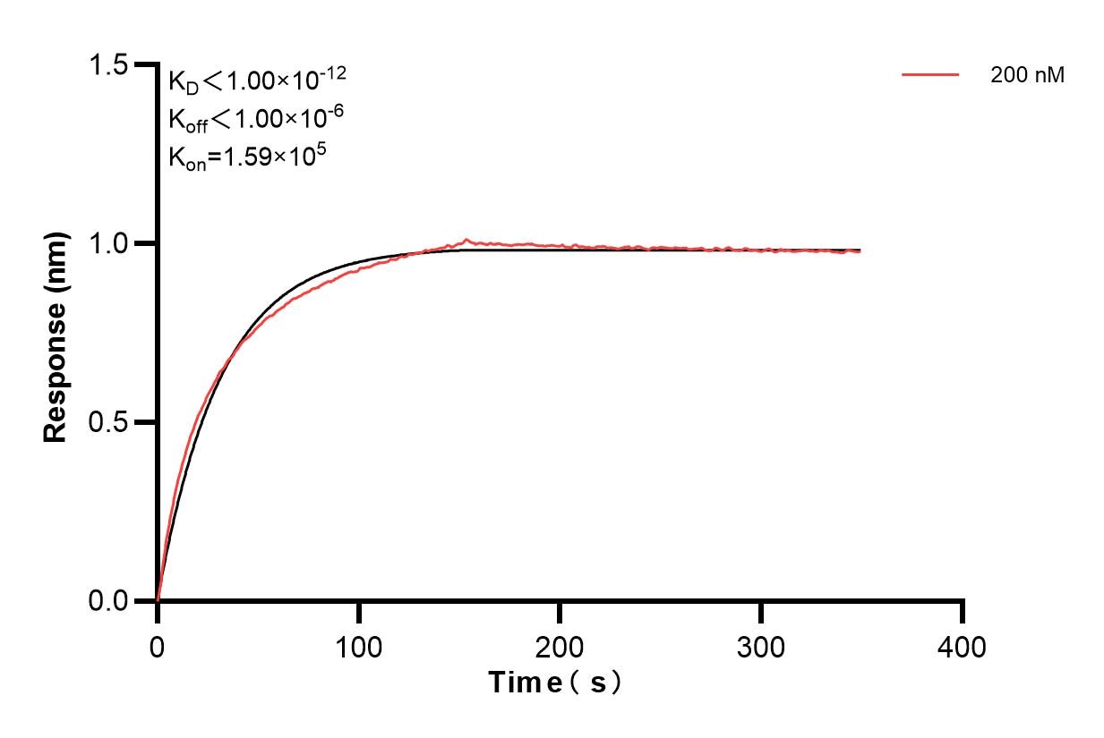 Affinity of 86810-2-PBS