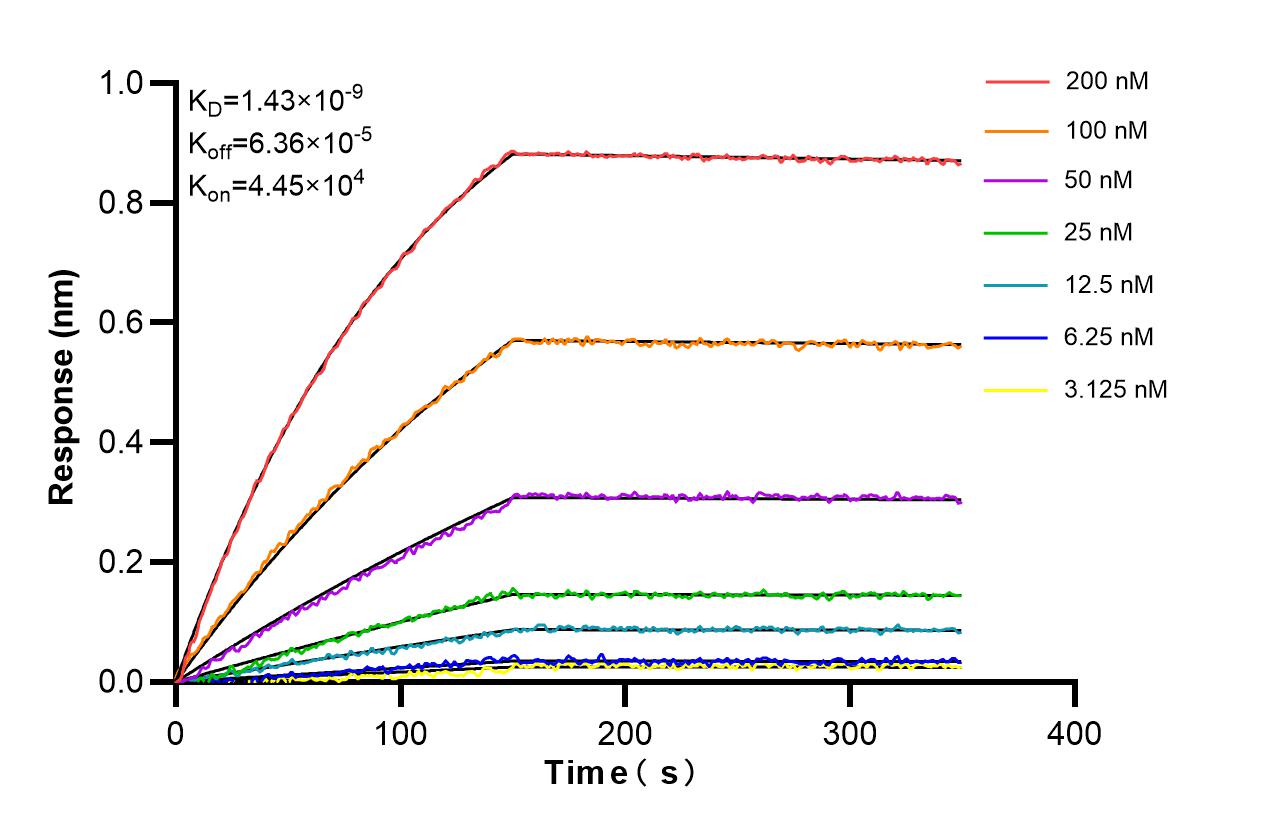 Affinity and Kinetic Characterization of 86818-2-RR