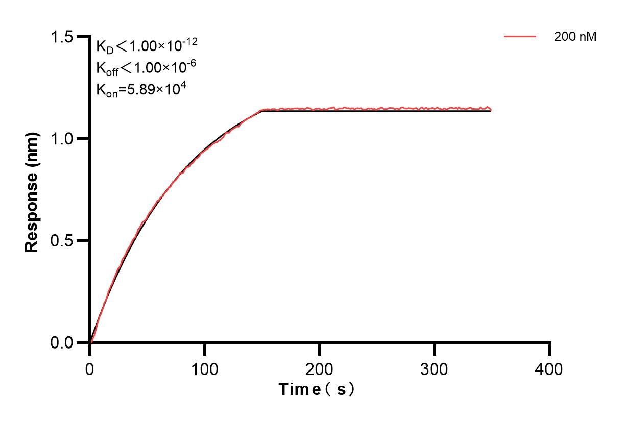 Affinity and Kinetic Characterization of 86821-4-PBS
