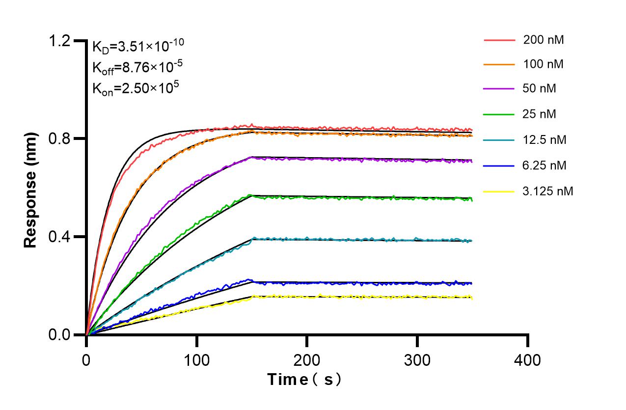 Affinity and Kinetic Characterization of 86827-4-RR
