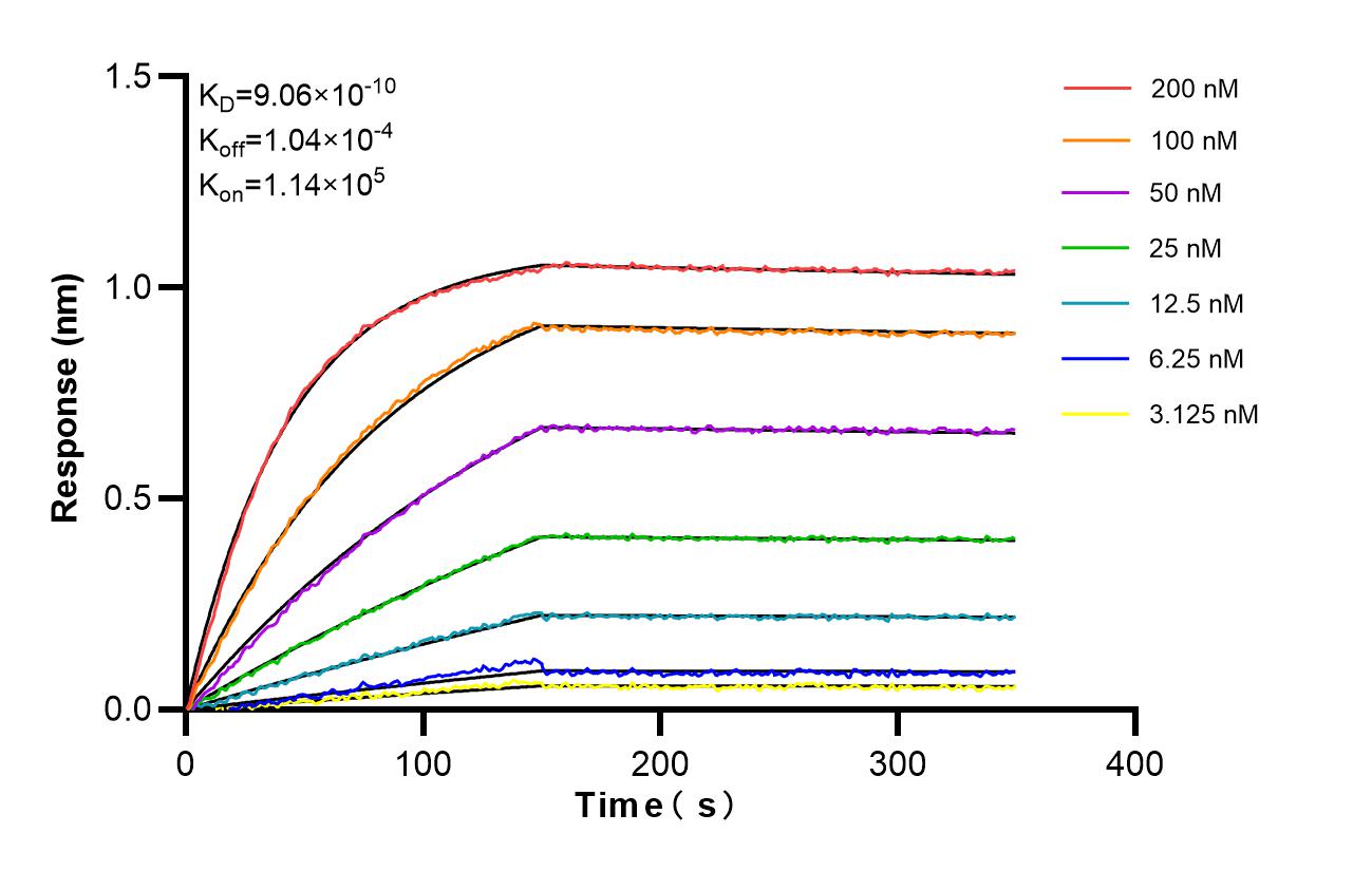Affinity and Kinetic Characterization of 86832-2-RR Affinity and Kinetic Characterization of 86832-2-RR
