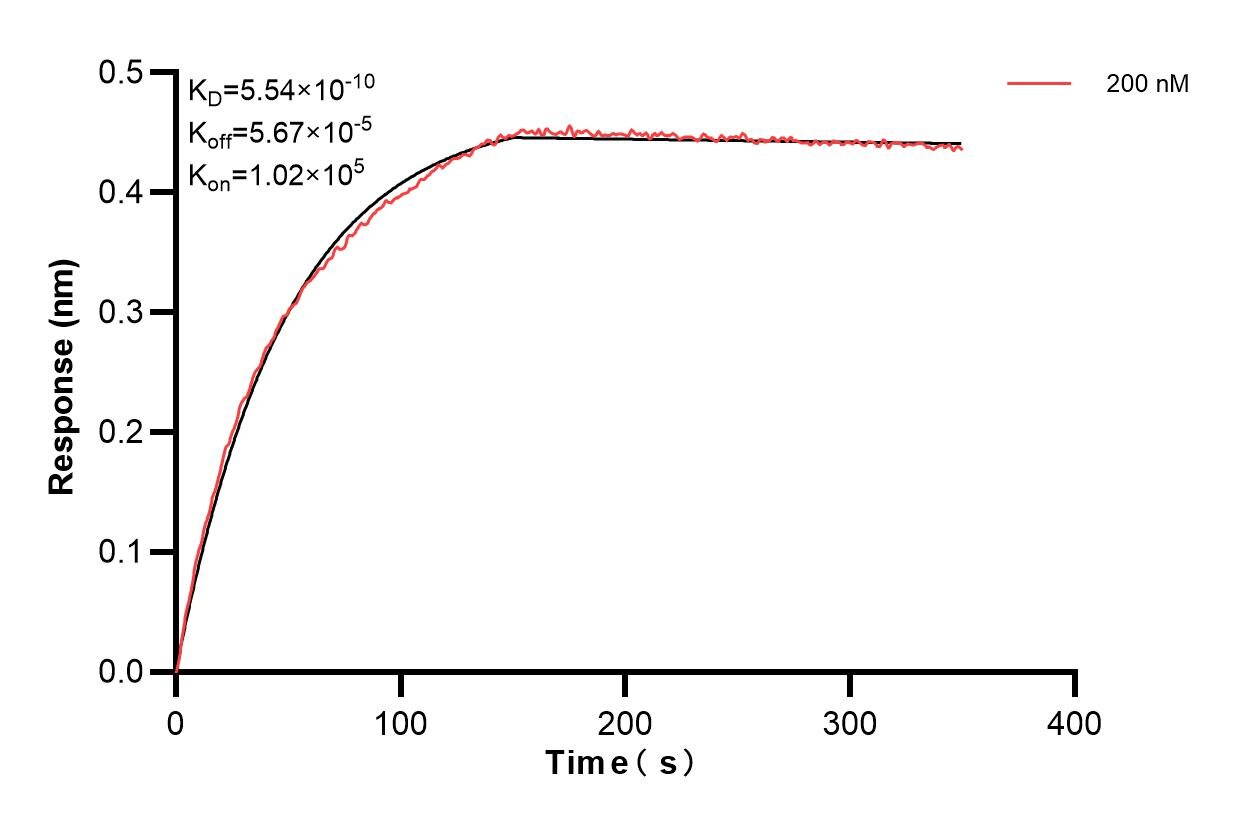 Affinity of 86875-1-PBS