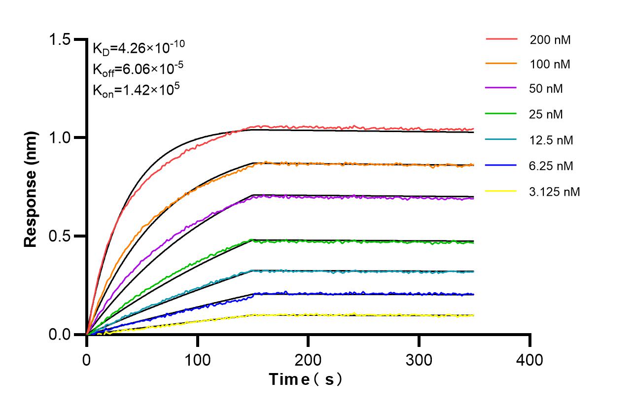 Affinity and Kinetic Characterization of 86875-2-RR