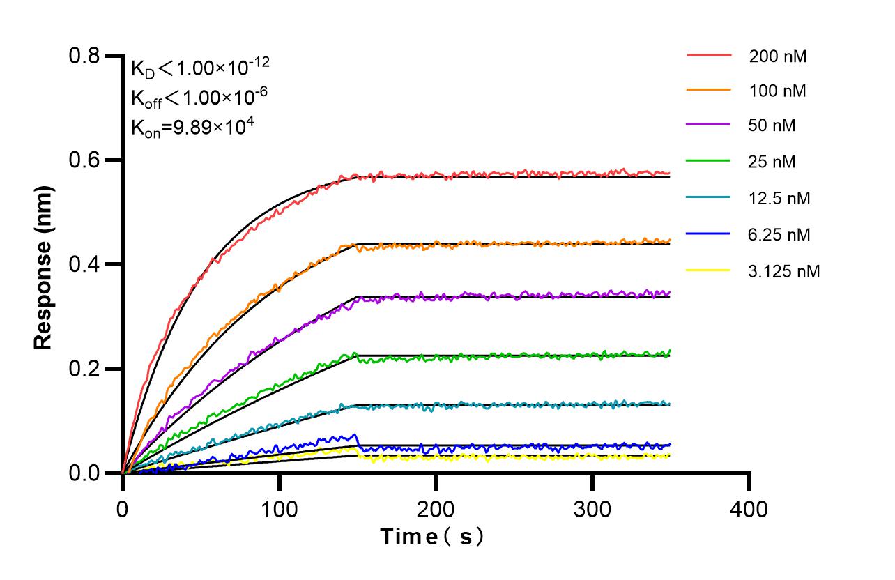 Affinity and Kinetic Characterization of 86883-1-RR