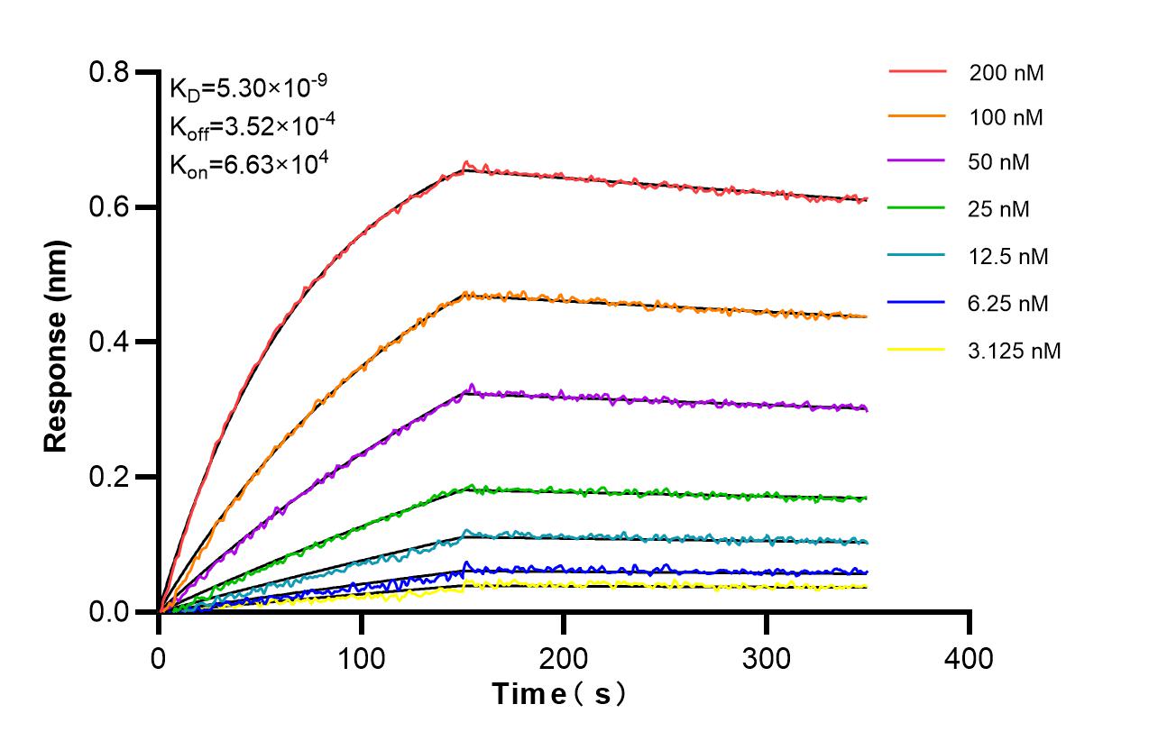 Affinity and Kinetic Characterization of 86887-1-RR Affinity and Kinetic Characterization of 86887-1-RR