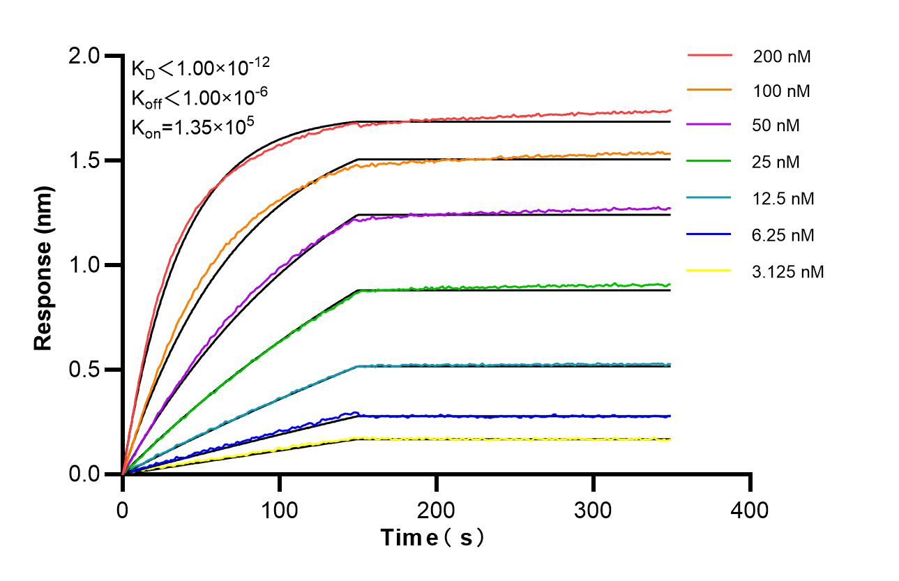 Affinity and Kinetic Characterization of 86895-1-RR