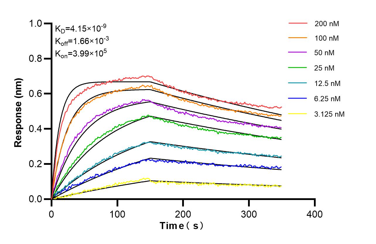 Affinity and Kinetic Characterization of 86905-1-RR